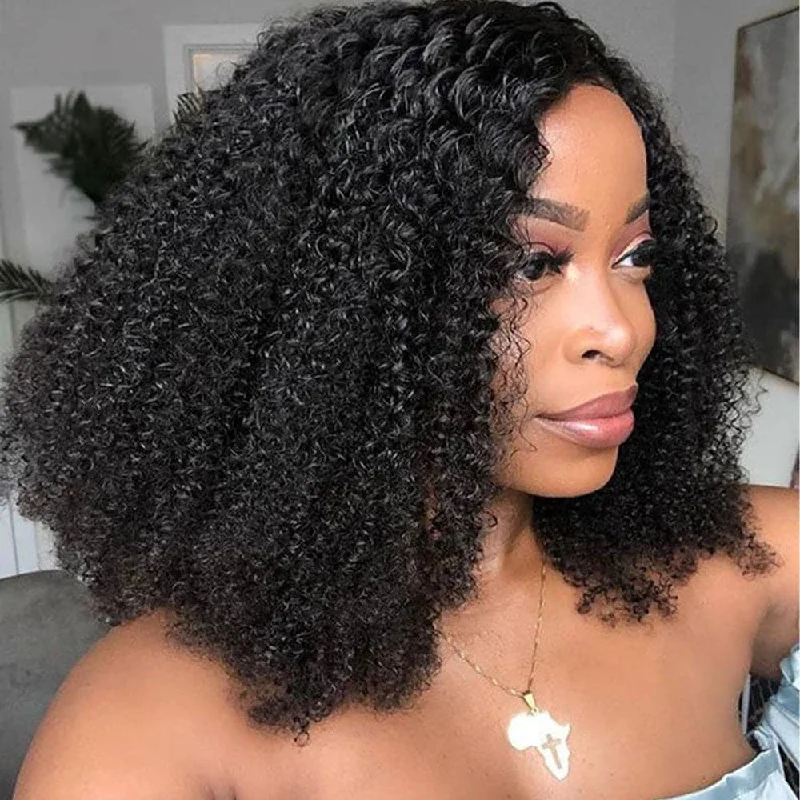 Nina Afro 13x6 Lace Front Wig