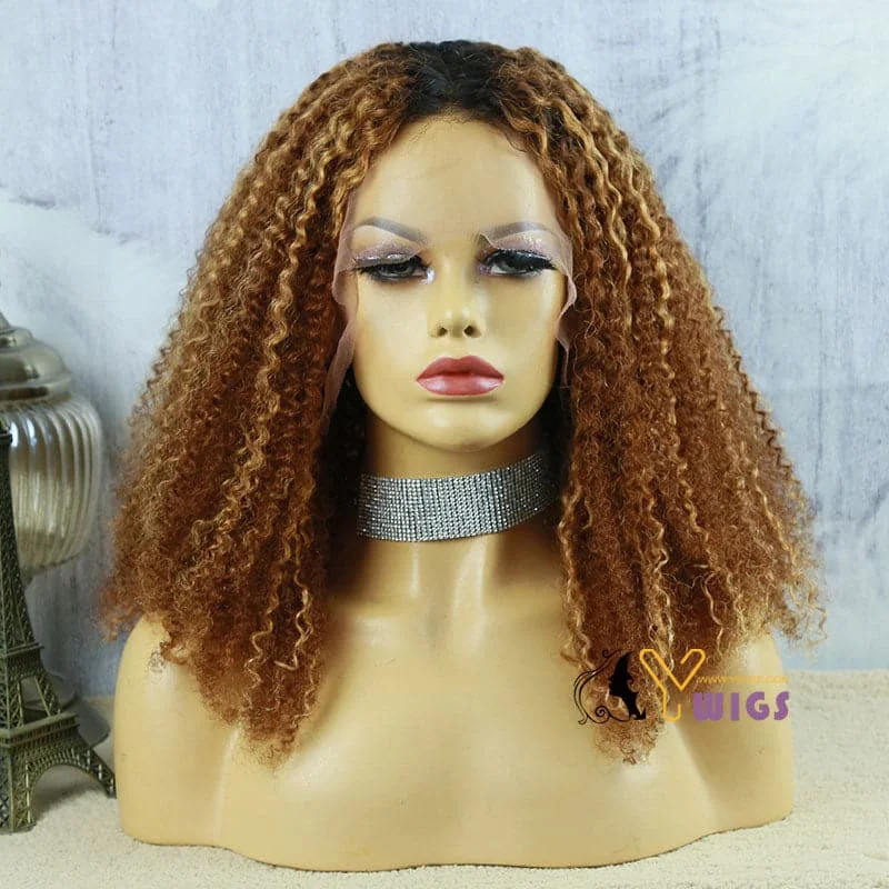 Eshe Highlighted Jerry Curly 13x6 Lace Front Wig