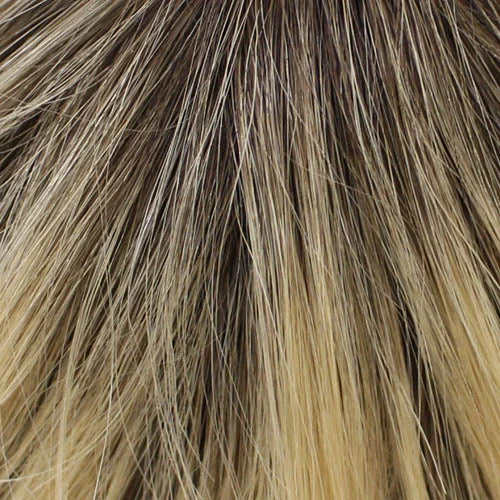 02-6 - Root 04/22 - Dark Brown Root the rest is Beige  Blonde